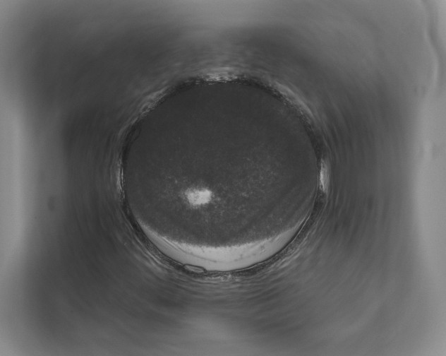 X0000111461444200908031330
