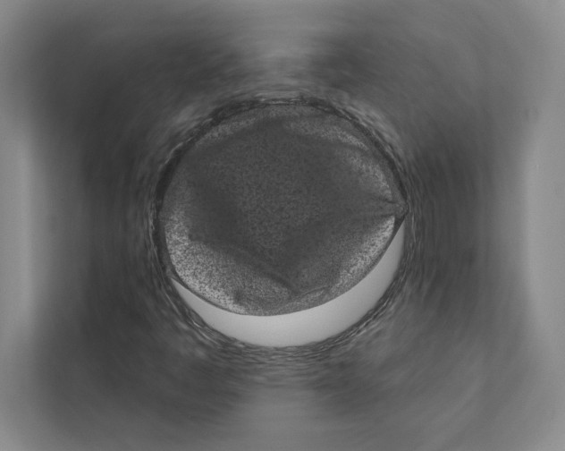 X0000111461445200908031330