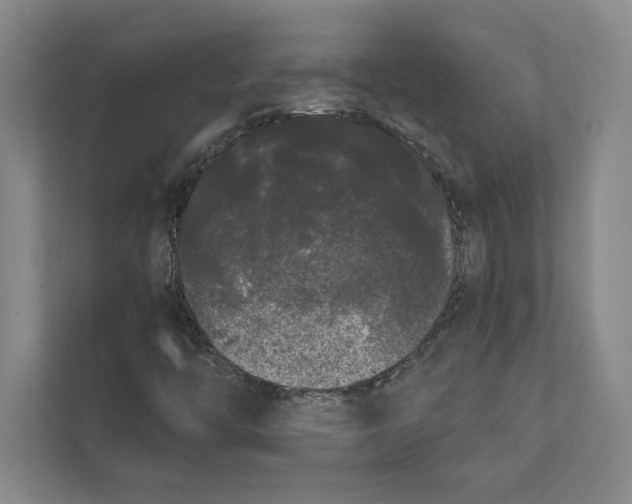 X0000111461446200908031330