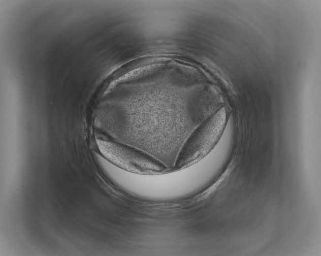 X0000111461449200908031330