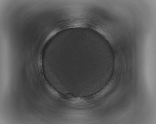 X0000111461450200908031330
