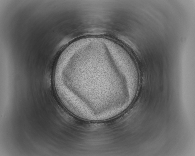 X0000111461451200908031330