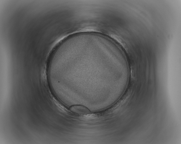 X0000111461452200908031330
