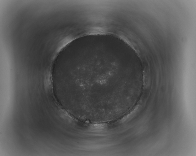X0000111461453200908031330