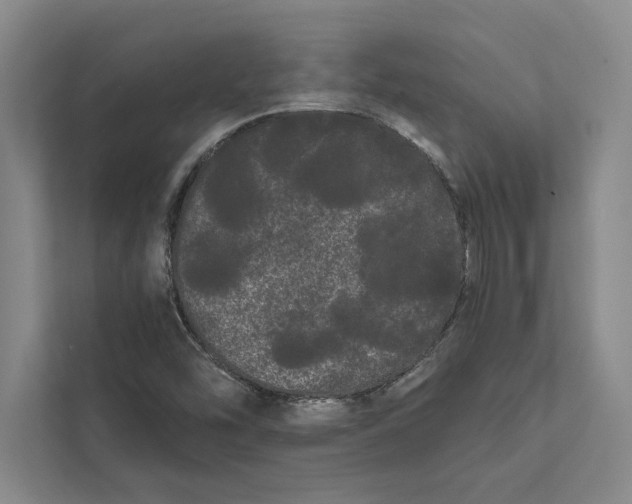 X0000111461454200908031330
