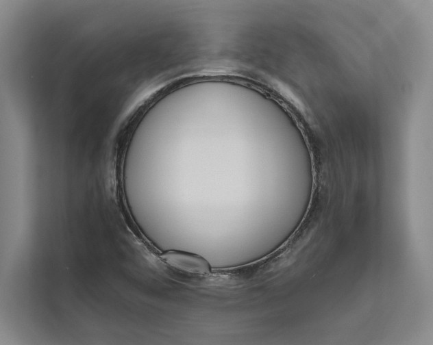 X0000111461456200908031330