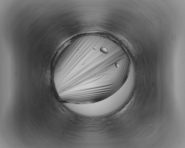 X0000111461457200908031330