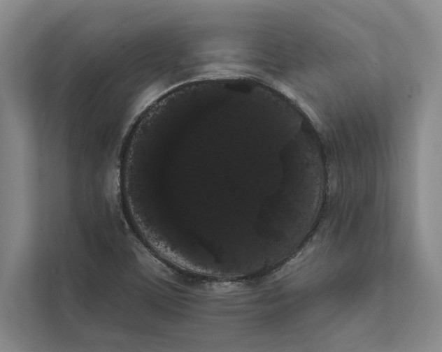 X0000111461459200908031330