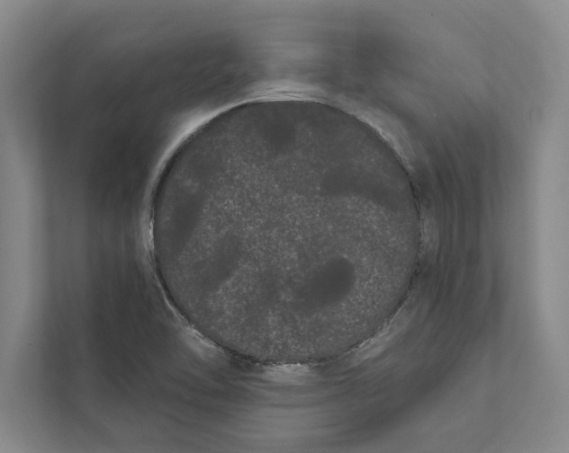 X0000111461462200908031330