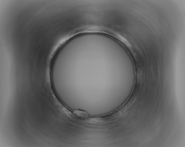 X0000111461464200908031330
