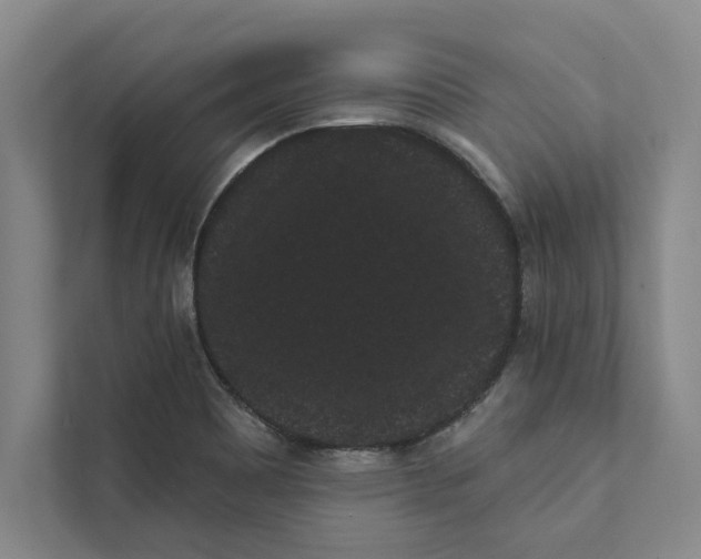 X0000111461465200908031330
