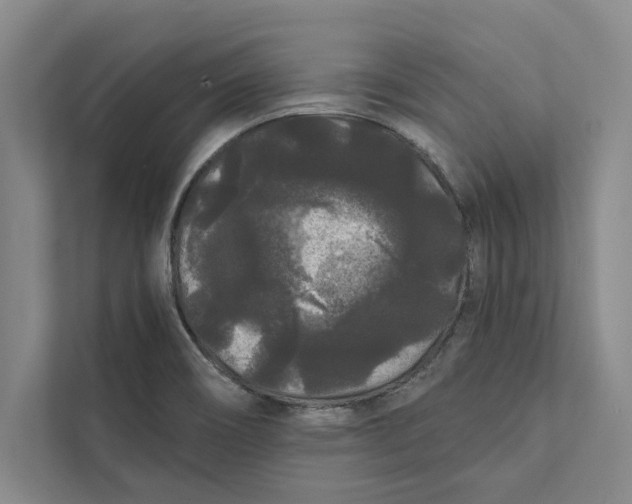 X0000111461466200908031330