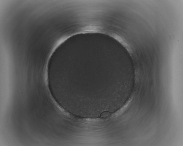 X0000111461469200908031330