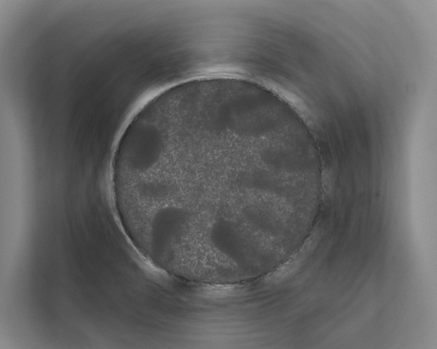 X0000111461470200908031330