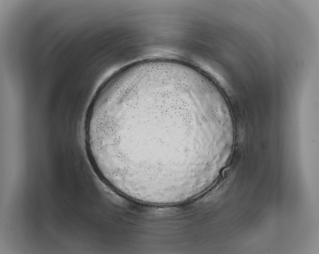 X0000111461471200908031330