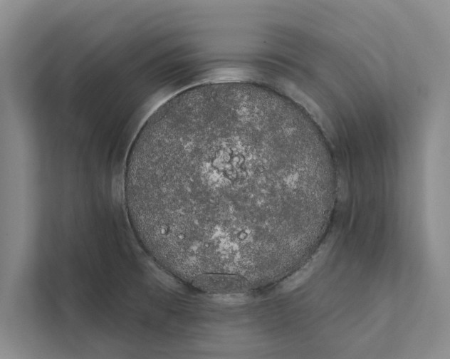 X0000111461473200908031330