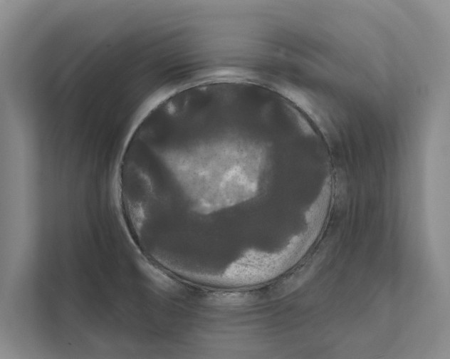 X0000111461474200908031330