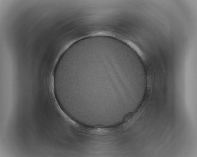 X0000111461476200908031329