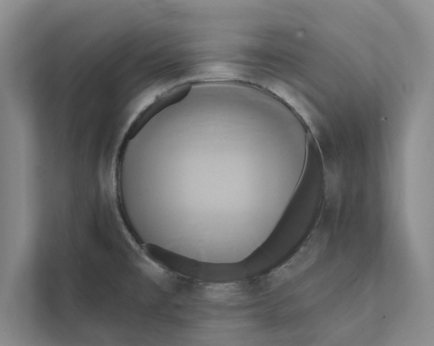 X0000111461477200908031329