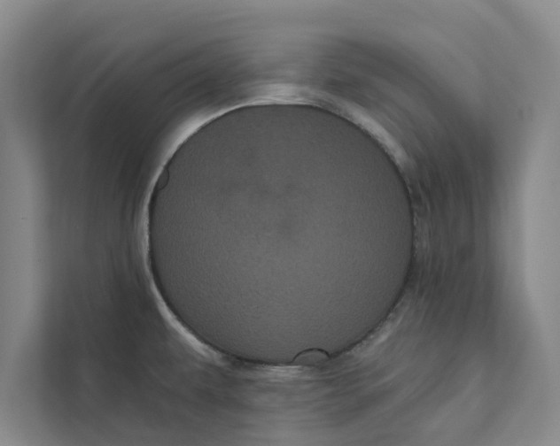 X0000111461479200908031329