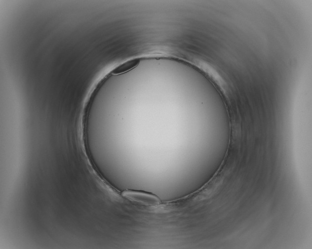 X0000111461480200908031329