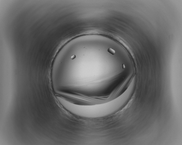 X0000111461481200908031329