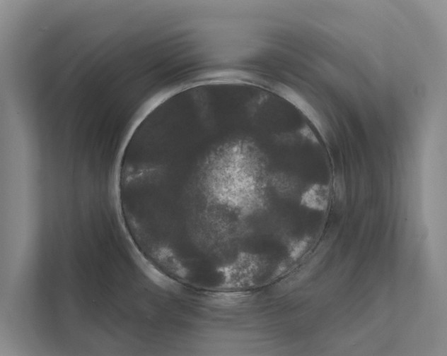X0000111461482200908031329