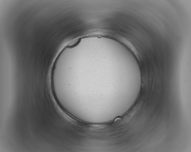 X0000111461483200908031329