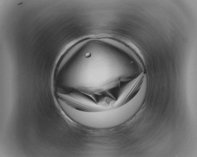 X0000111461485200908031329