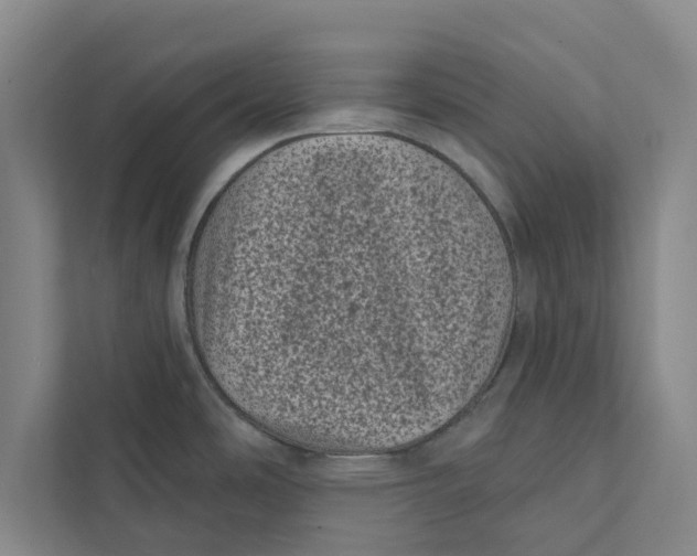 X0000111461486200908031329
