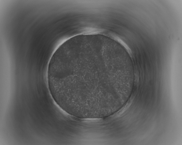 X0000111461487200908031329