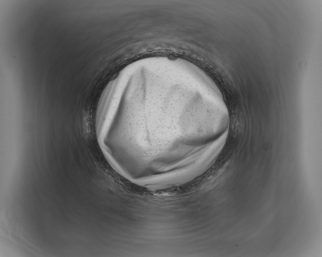 X0000111461490200908031329