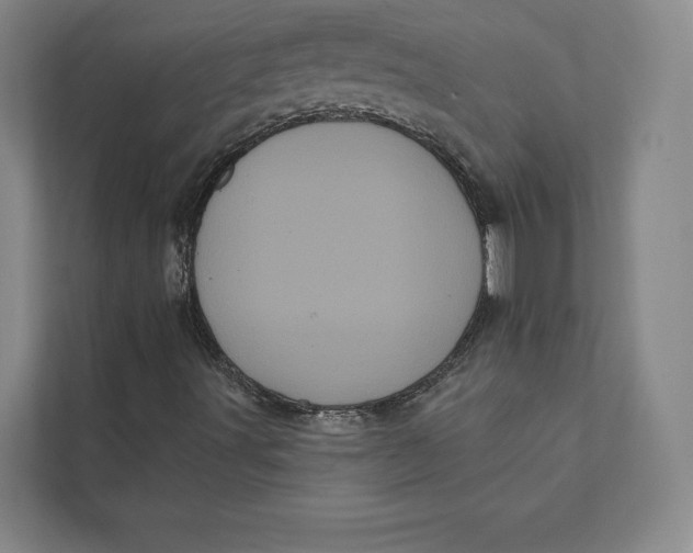 X0000111461491200908031329