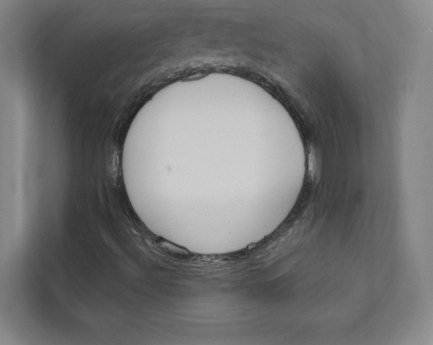 X0000111461492200908031329