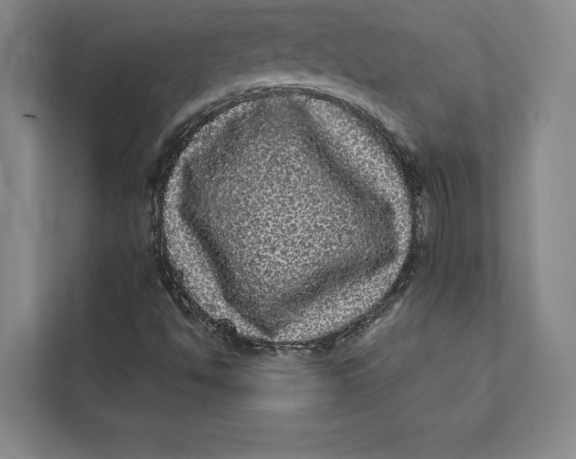 X0000111461494200908031329