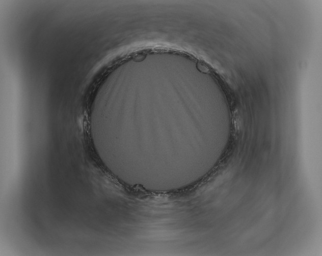 X0000111461495200908031329