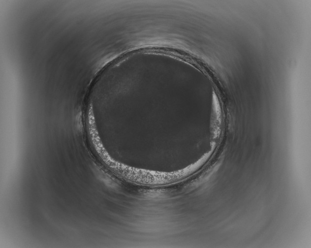 X0000111461497200908031329