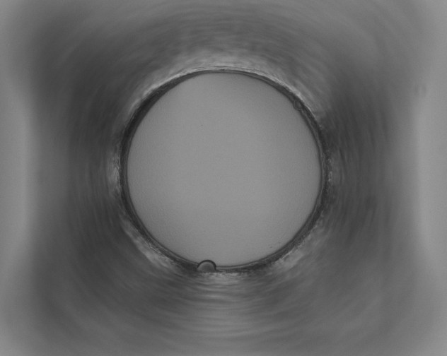 X0000111461499200908031329