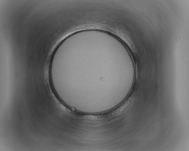 X0000111461500200908031329
