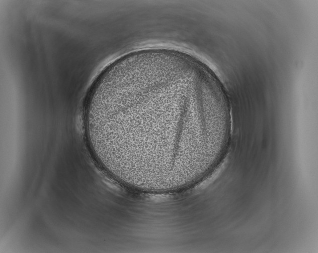 X0000111461501200908031329