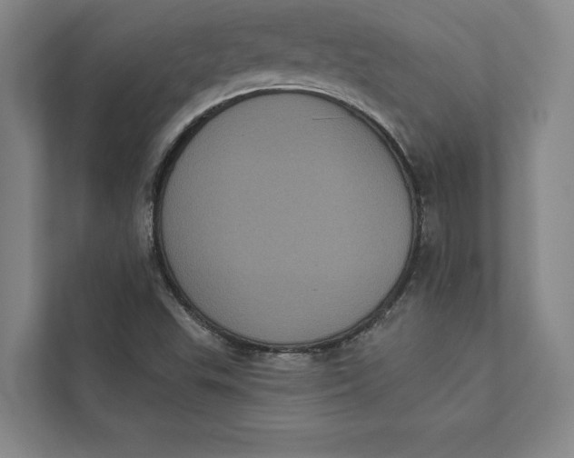 X0000111461503200908031329