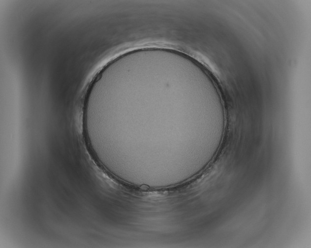 X0000111461504200908031329