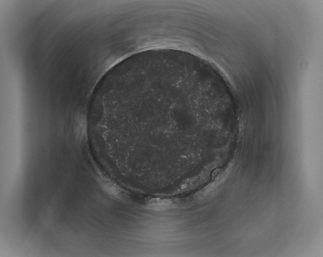 X0000111461505200908031329