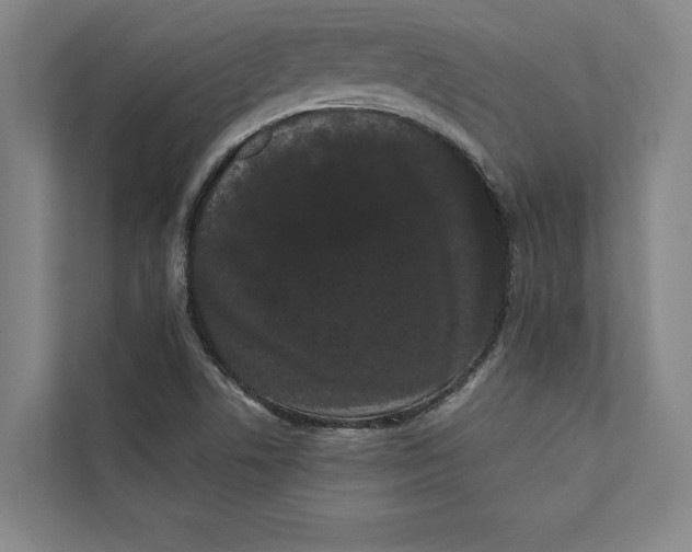 X0000111461506200908031329