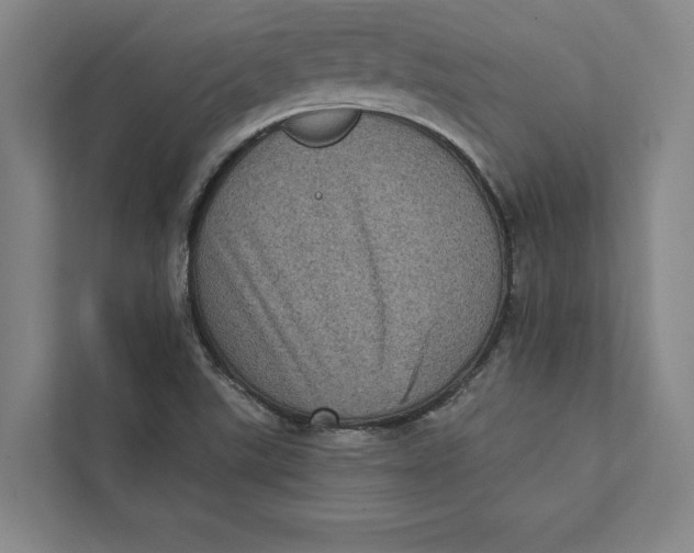 X0000111461507200908031329