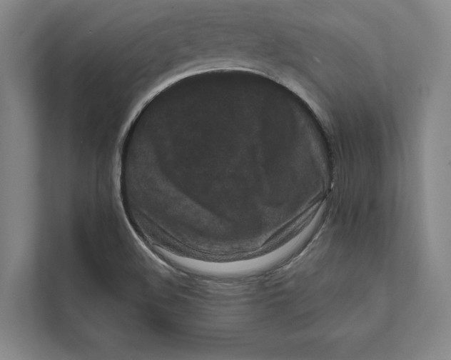 X0000111461508200908031329