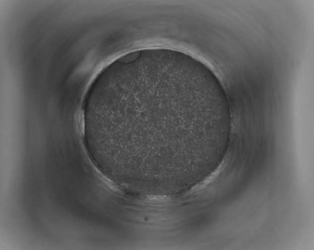 X0000111461509200908031329