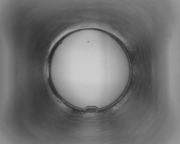 X0000111461510200908031329