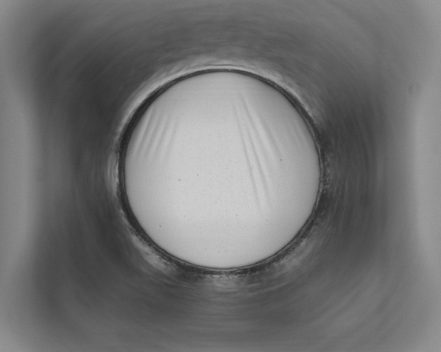 X0000111461511200908031329