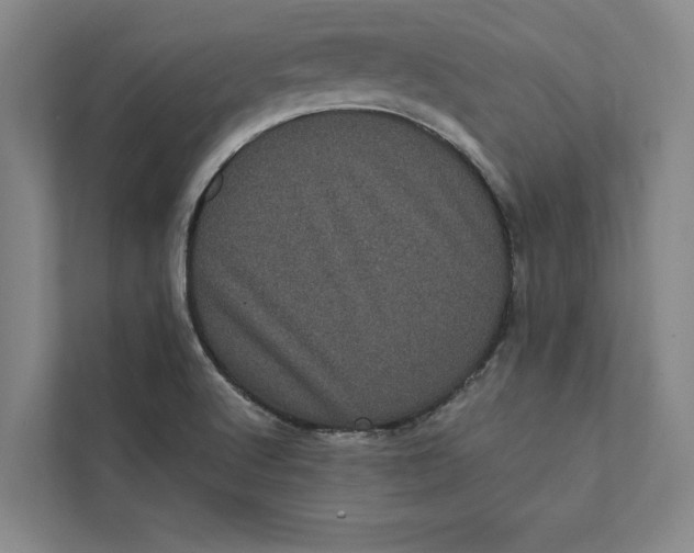 X0000111461512200908031329